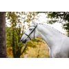 Uzdečka Cavesson Horseware, čierna (Veľkosť COB)