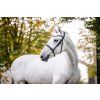 Uzdečka Cavesson Horseware, čierna (Veľkosť COB)