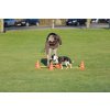 Prekážky pre psov Trixie, 3 ks, orange