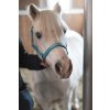 Ohlávka Malva HorseGuard, aruba blue