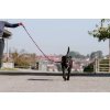 Vodítko pre psov Haspen Equithème, 150 cm, black/raspberry