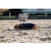 Deka pre psov Riding World, fleecová, navy (Veľkosť 30 cm)