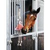 it06729 lifestyle horsetoy flamingo 2