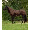 Deka proti hmyzu Eczema Basic Waldhausen, mocca (Dĺžka chrbta 115 cm	)