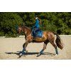 Dečka podsedlová No Boundaries Monaco Blue Equestrian Stockholm, drezúrna, blue