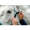 Ohlávka bezpečnostná Horseware, blue haze