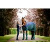 Deka odpocovacia Signature Sport Cooler Horseware, navy/hunter green