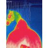 Deka odpocovacia Therapy Bucas, navy/orange