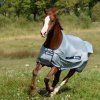 Deka proti hmyzu Buzz-Off Bucas, silver/navy (Dĺžka chrbta 115 cm	)
