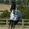 Deka proti hmyzu Freedom Bucas, s krkom, silver (Dĺžka chrbta 100 cm	)