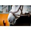 Uzdečka Rambo Micklem Multibridle 2, dark havana (Veľkosť COB/FULL)