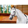 Uzdečka Rambo Micklem Multibridle 2, dark havana (Veľkosť COB/FULL)