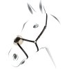 Nánosník mexický Equestro, čierny