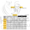 Čižmy jazdecké Evoke Equestro, small, čierne