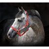 Ohlávka bezpečnostná Horseware, red (Veľkosť COB)