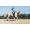 Bandáže fleecové Stone Blue Equestrian Stockholm, 4 ks, 4 m, light blue