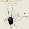 guia de talas young jump