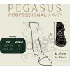pegasus front