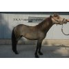 Ohlávka povrazová Capal F.R.A., pony, čierna