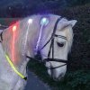 Klipy do hrivy LED USG, 3 ks
