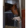 Hračka pre kone QHP, horse
