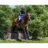 Gamaše predné Eventing Technical QHP, pár, navy