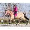 Pad jazdecký QHP, fuchsia (Veľkosť PONY)