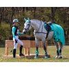 Gamaše zadné Eventing Technical QHP, pár, mint green (Veľkosť L)