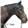 Uzdečka bezzubadlová Taiga F.R.A., čierna