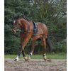Postroj lonžovací Waldhausen, čierny (Veľkosť PONY/COB	)