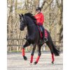 Mikina Equine Sports HKM, dámska, red