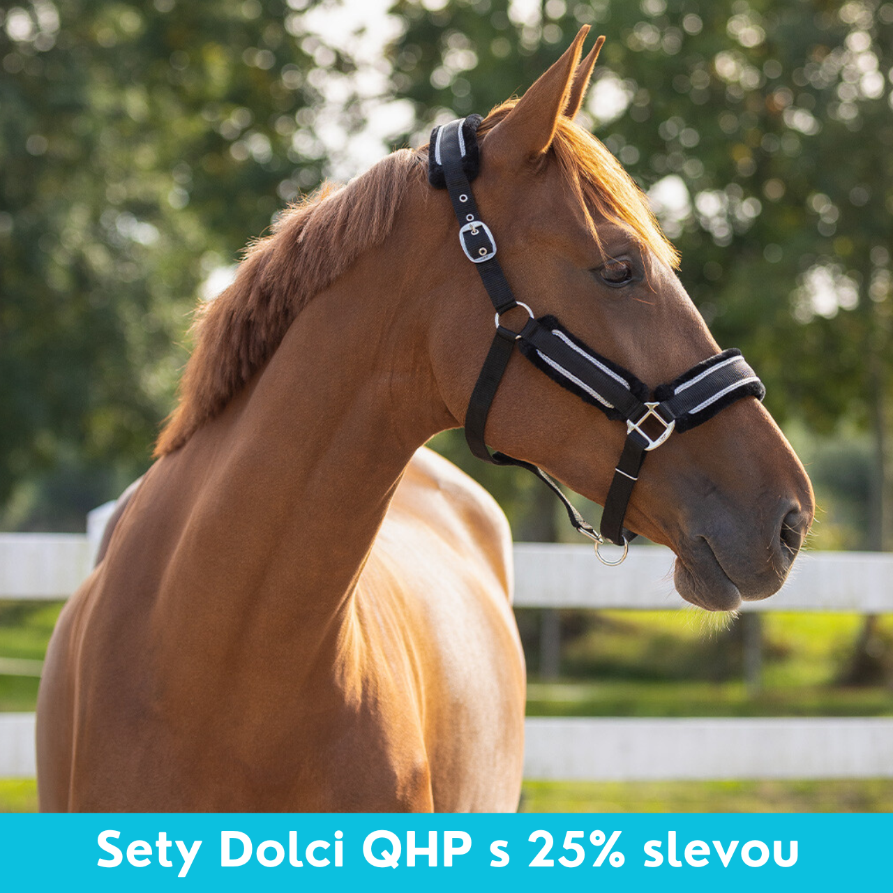 Akční nabídka QHP