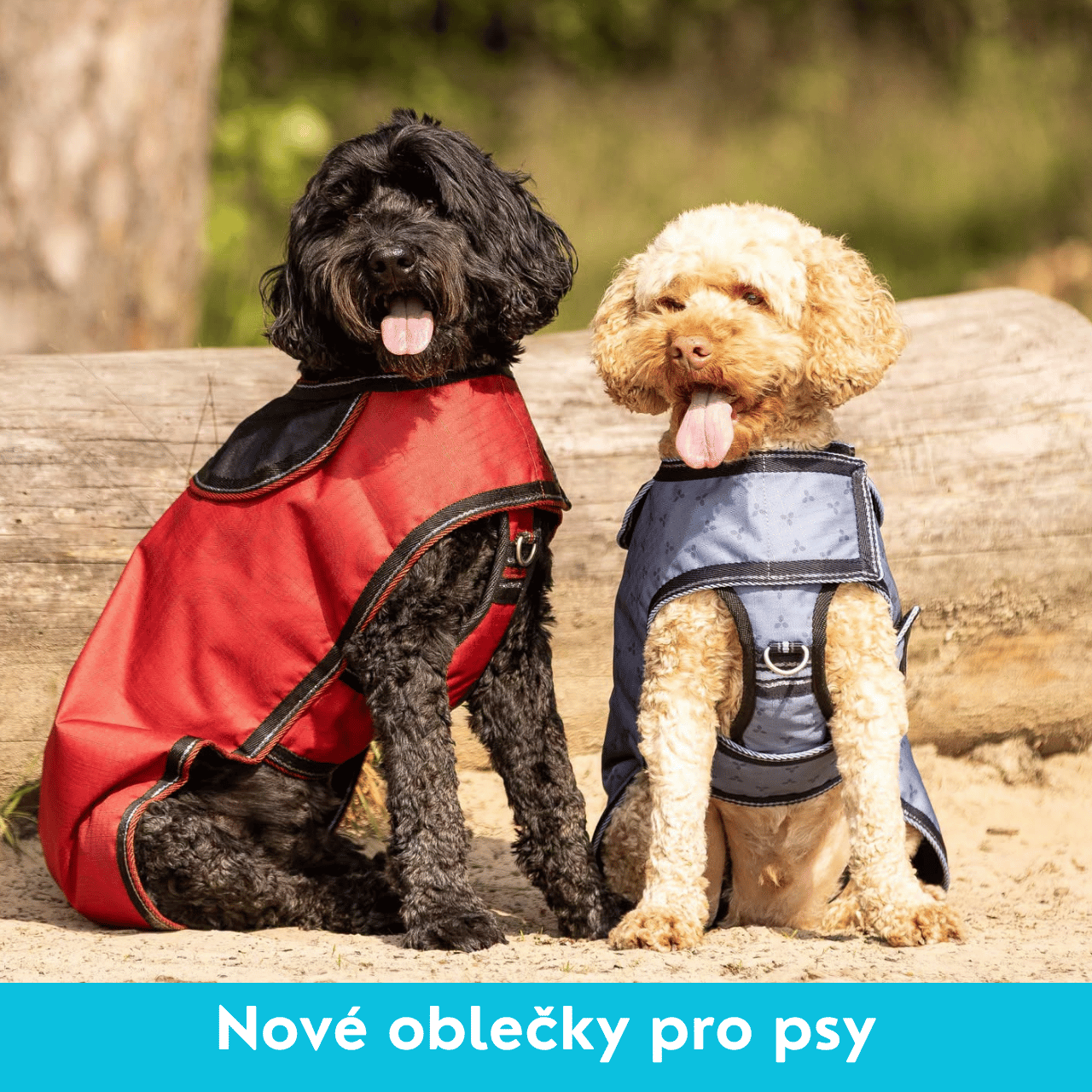 Nové oblečky pro psy QHP