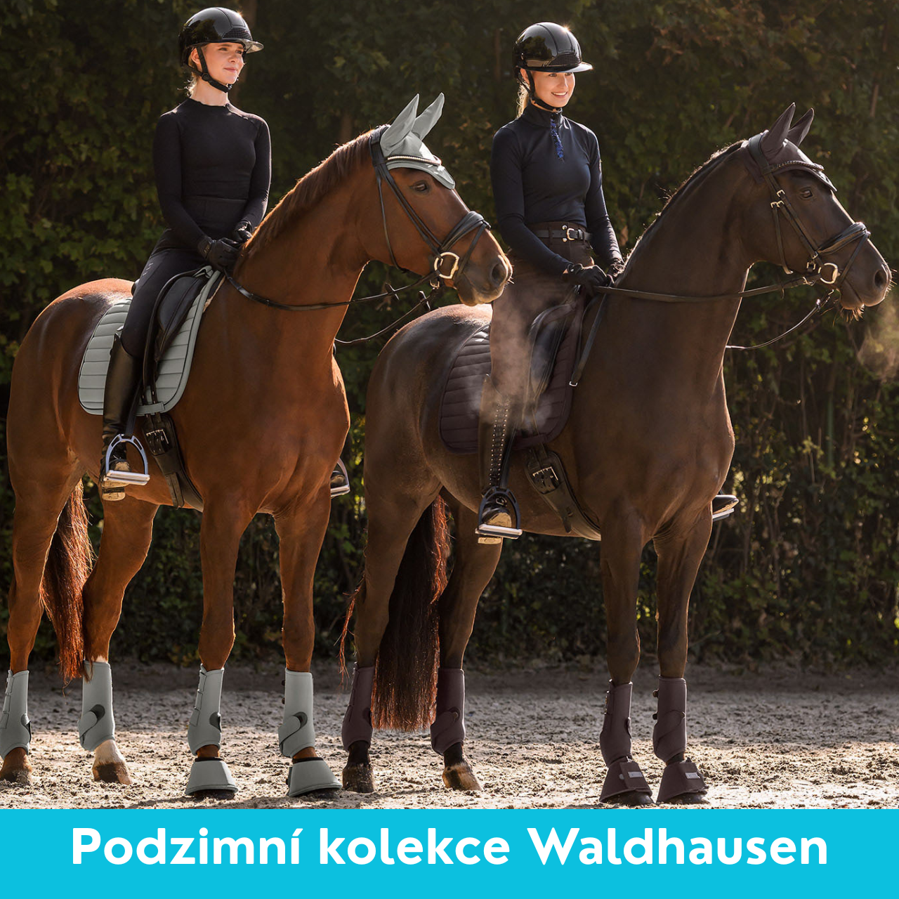Nová kolekce Waldhausen