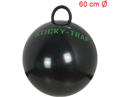 514 753d5449 img 0579