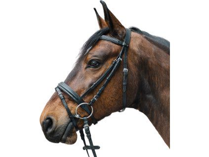 Uzdečka Diamond STAR, black (Velikost MINI SHETTY)