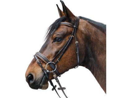 Uzdečka Diamond STAR, brown/gold (Velikost MINI SHETTY)