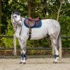 Čabraka Florence QHP, navy (Velikost PONY)