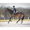 Jezdecký pad Super Soft QHP, black (Velikost SHETTY)