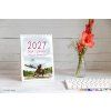 emily cole illustrations 2027 desk calendar front cover 1