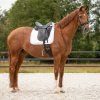 Podsedlová dečka Sparkle QHP, white (Velikost drezurní PONY)