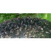 371 f95eca4a header1