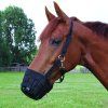Náhubek Muzzle Waldhausen, black (Velikost PONY)
