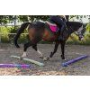 Maska Horsity, pink panther (Velikost FULL)