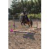 Maska Horsity, pink panther (Velikost FULL)