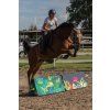 Maska Horsity, natural panther (Velikost FULL)