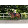 Maska Horsity, natural panther (Velikost FULL)