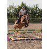 Maska Horsity, natural panther (Velikost FULL)