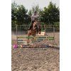 Maska Horsity, natural panther (Velikost FULL)