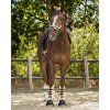 Uzdečka Ontario QHP, black (Velikost PONY)